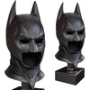 image:imageThe Dark Knight Cowl