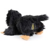 image:imageThe Noble Collection Fantastic Beasts Baby Niffler Plush Black
