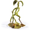 image:imageThe Noble Collection Fantastic Beasts Magical Creatures No2 Bowtruckle