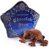 image:imageThe Noble Collection Harry Potter Chocolate Frog Collector Plush