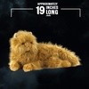 image:imageThe Noble Collection Harry Potter Crookshanks Collector Plush
