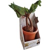 image:imageThe Noble Collection Harry Potter Electronic Plush Mandrake