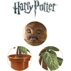 image:imageThe Noble Collection Harry Potter Electronic Plush Mandrake