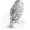 image:imageThe Noble Collection Harry Potter Hedwig Collector Plush