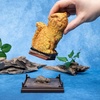 image:imageThe Noble Collection Harry Potter Magical Creatures No 11  Crookshanks