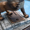 image:imageThe Noble Collection Harry Potter Magical Creatures No 13  Fluffy