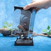 image:imageThe Noble Collection Harry Potter Magical Creatures No 13  Fluffy