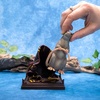 image:imageThe Noble Collection Harry Potter Magical Creatures No 14  Scabbers