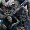 image:imageThe Noble Collection Harry Potter Magical Creatures No 16  Aragog
