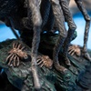 image:imageThe Noble Collection Harry Potter Magical Creatures No 16  Aragog