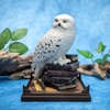 image:imageThe Noble Collection Harry Potter Magical Creatures No1 HedwigSingle