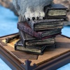 image:imageThe Noble Collection Harry Potter Magical Creatures No1 HedwigSingle