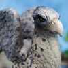 image:imageThe Noble Collection Harry Potter Magical Creatures No6 Buckbeak