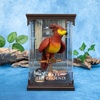 image:imageThe Noble Collection Harry Potter Magical Creatures No8 Fawkes