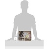 image:imageThe Noble Collection Hermione Granger Artefact BoxMulticolored