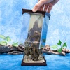 image:imageThe Noble Collection Magical Creatures No 18  Grindylow