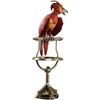 image:imageFawkes the Phoenix