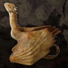 image:imageThe Noble Collection Game of Thrones Viserion Dragon Sculpt