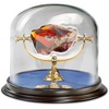image:imageThe Noble Collection Harry Potter  Sorcerers Stone