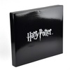 image:imageThe Harry Potter Final Challenge Chess Set