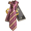 image:imageHarry Potters Gryffindor House Tie